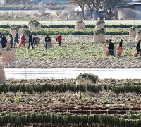 외국인 농업근로자 역대 최대규모…기숙사 20곳 짓는다